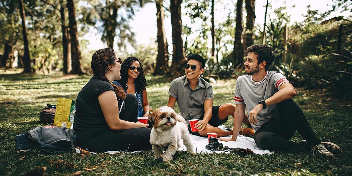 Amigos en un parque haciendo un picnic